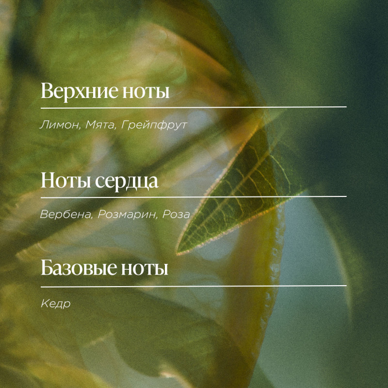 Туалетная вода Вербена-Цитрус 100 мл