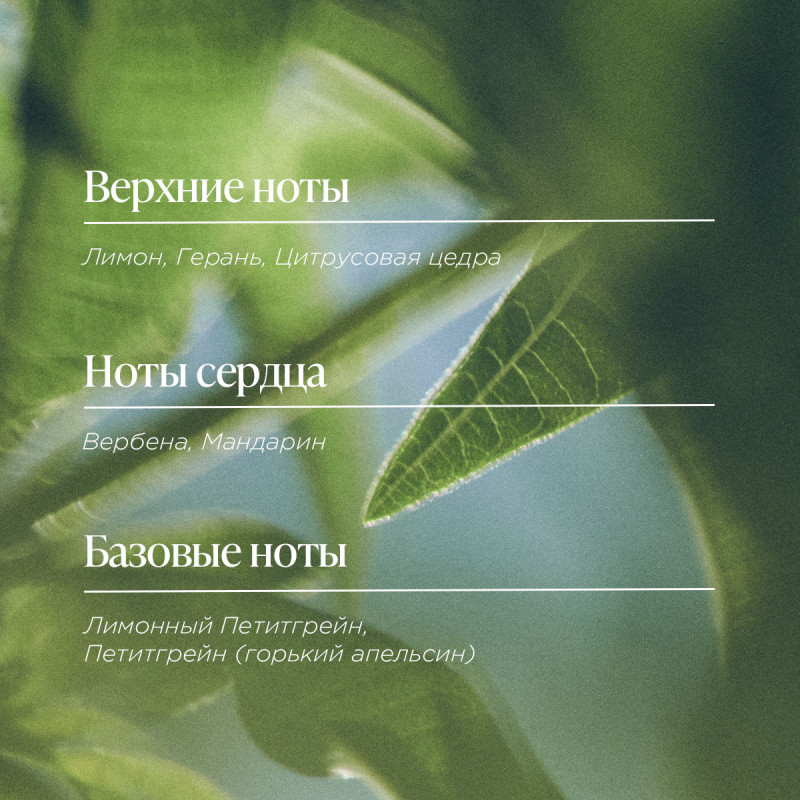 Аромат для дома Вербена 100 мл