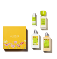 BARBOTINE: ГОЛОВОКРУЖИТЕЛЬНАЯ СВЕЖЕСТЬ