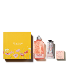 ВЕСЕННЕЕ ЦВЕТЕНИЕ ВИШНИ