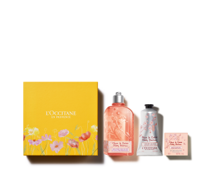 ВЕСЕННЕЕ ЦВЕТЕНИЕ ВИШНИ