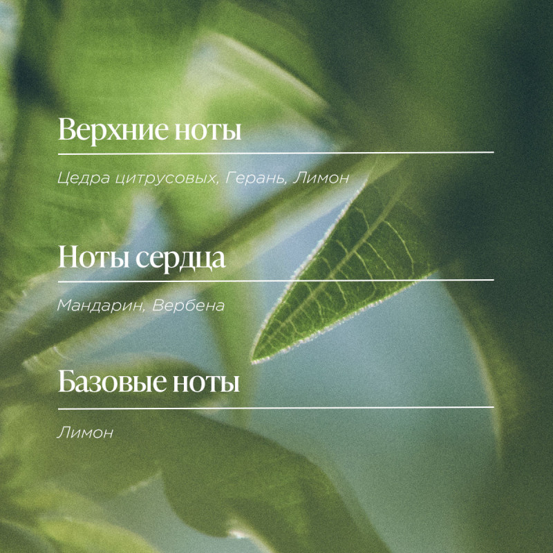 Туалетная вода Вербена 100 мл