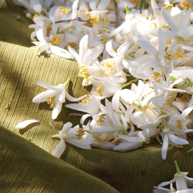 Гель для душа Нероли и Орхидея Цветочная Гармония 250 мл