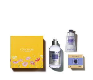 ЛИЛОВЫЕ ПЕЙЗАЖИ ПРОВАНСА