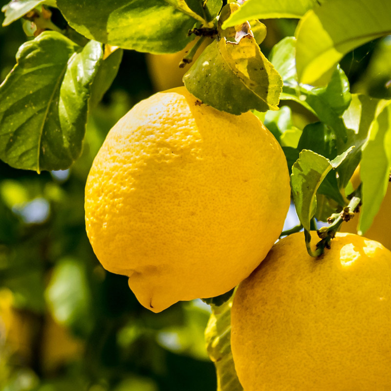 Спрей для тела и волос Миндаль-Лимон 50 мл