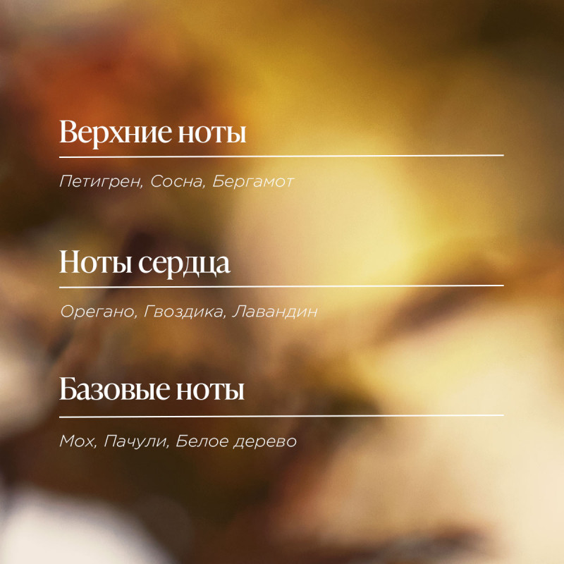 Туалетная вода 4 Разбойника 50 мл