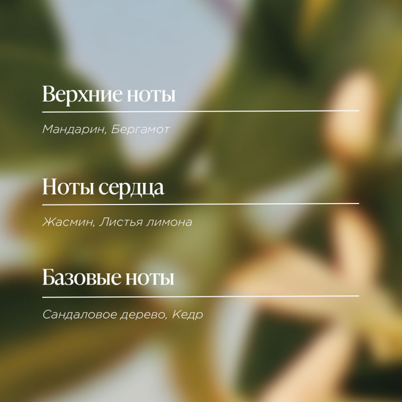 Туалетная вода Жасмин и Бергамот 50 мл