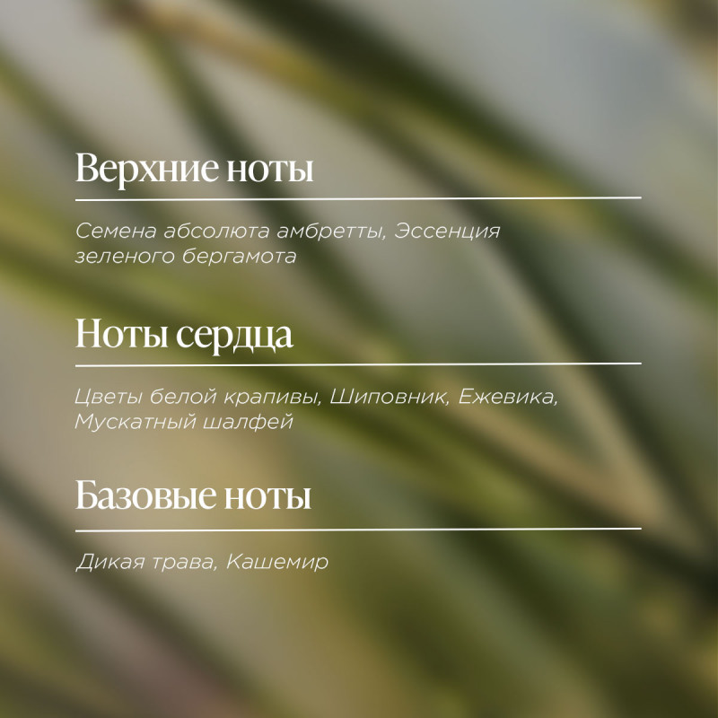 Парфюмированная вода Herbae 50 мл