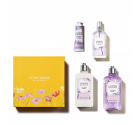 БЕЛАЯ ЛАВАНДА: СИМВОЛ ЧИСТОТЫ И СВЕЖЕСТИ