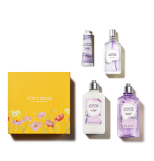 БЕЛАЯ ЛАВАНДА: СИМВОЛ ЧИСТОТЫ И СВЕЖЕСТИ