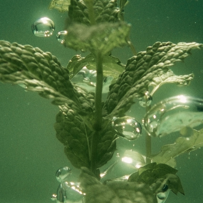 Шампунь Аромакология Живительная Свежесть 500 мл, сменный блок