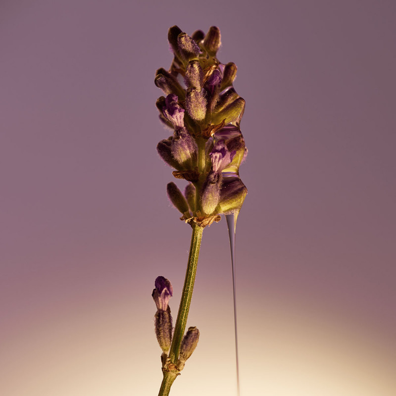 Молочко для Тела Лаванда 250 мл